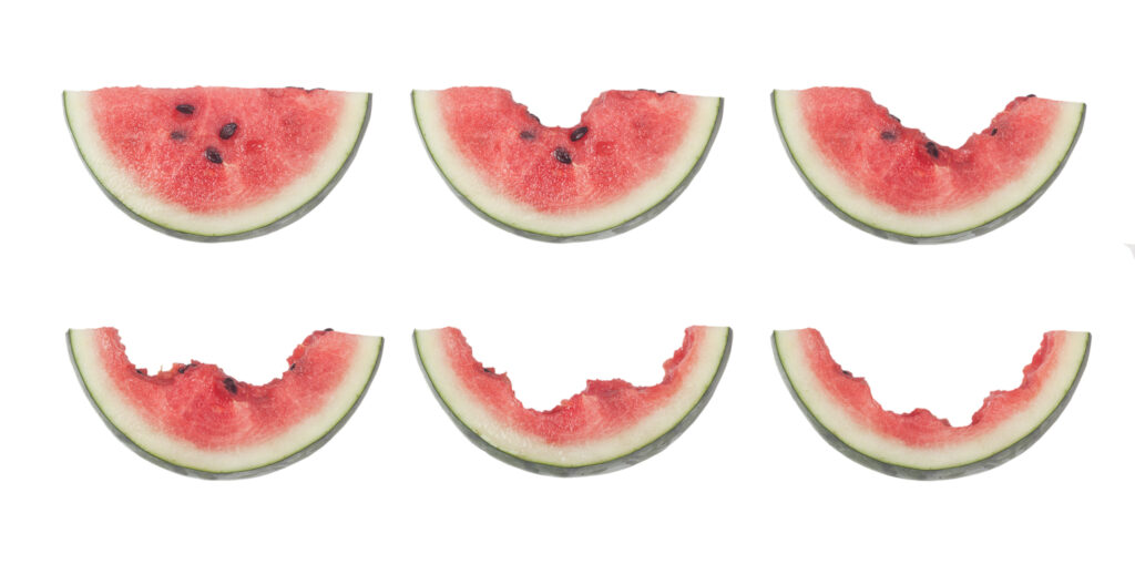 The Self-Eating Watermelon